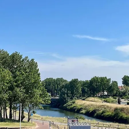 Le Designer Avec Vue *